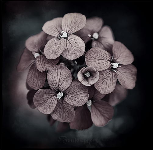 Countless